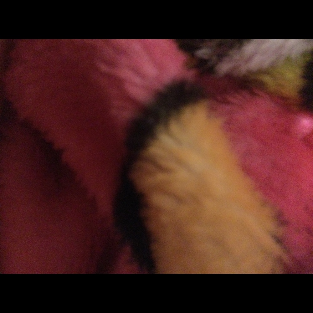 Meet your Posher, Kenan